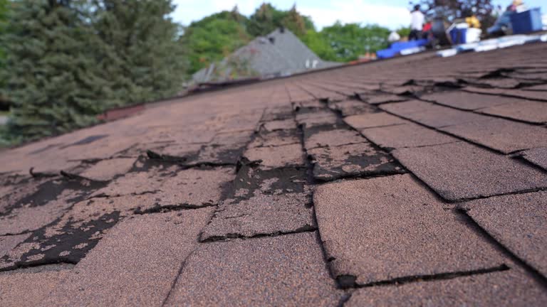 Emergency Roof Repair in Tuba City, AZ